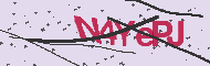 Captcha認証コード